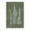 12" x 16" Woodland Ferns I Framed Wall Art, Contemporary Nature Home Décor, Glass Facing and Hanging Hardware Included